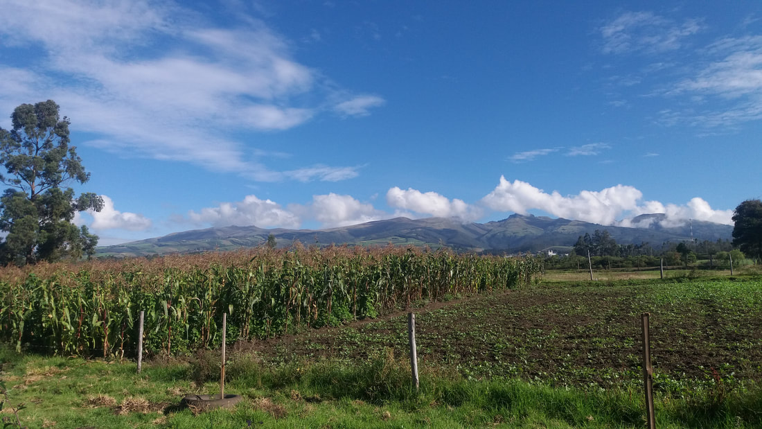 View of a field, mountains and blue skies in Ecuador