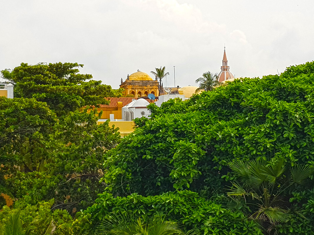 Tops of buildings over trees in Cartagena, Colombia