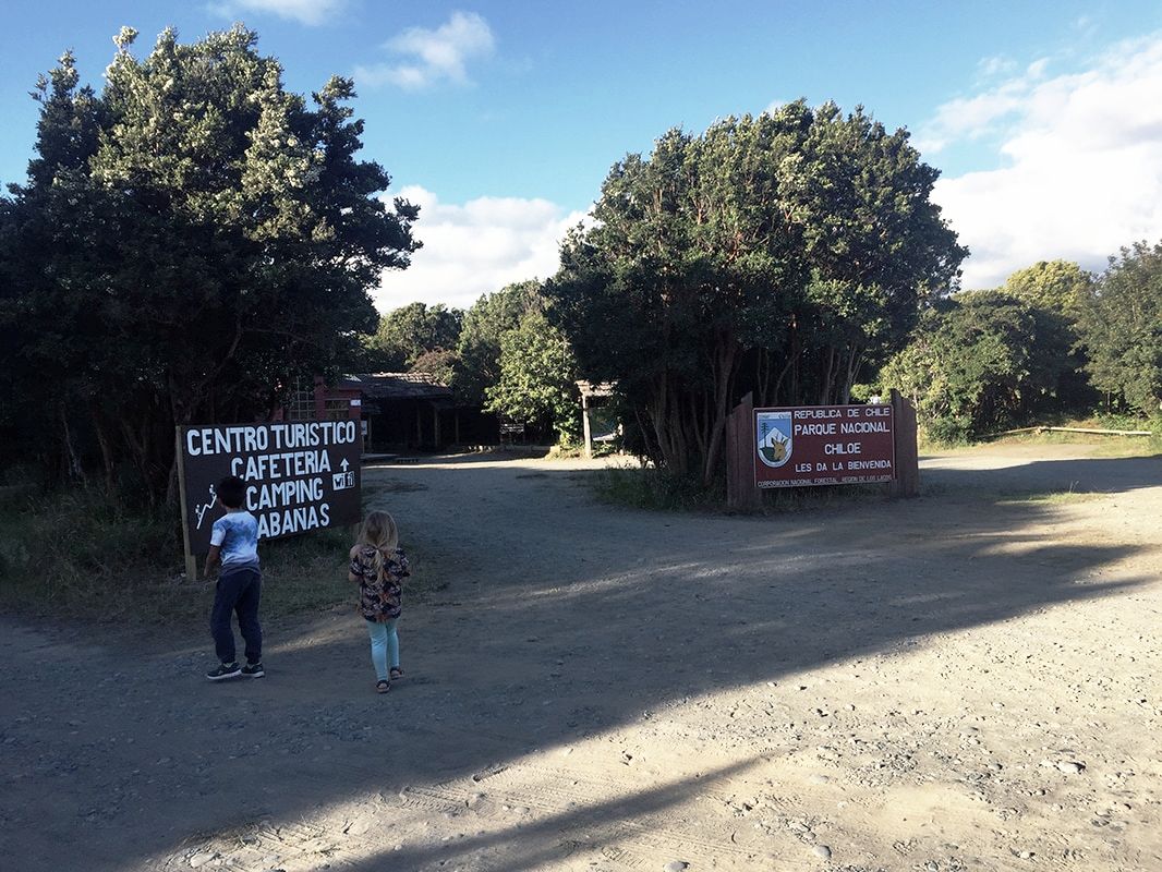 Kids checking out a Chilean campground