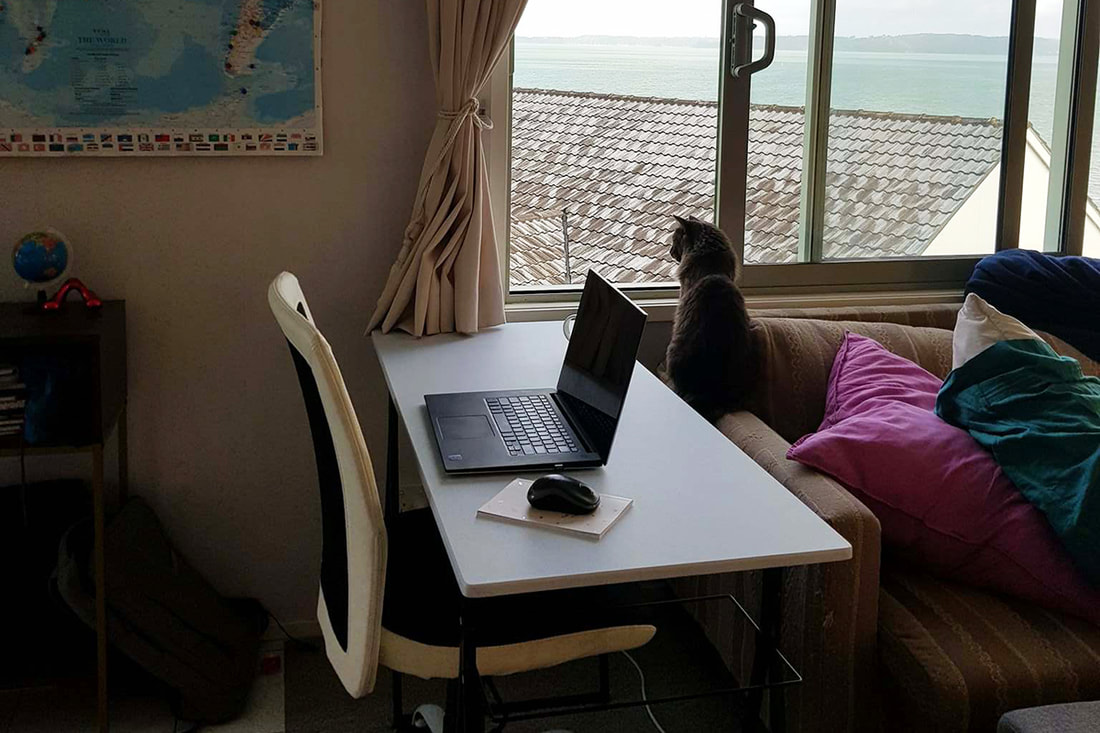 A home office with map in the background and cat looking out the window