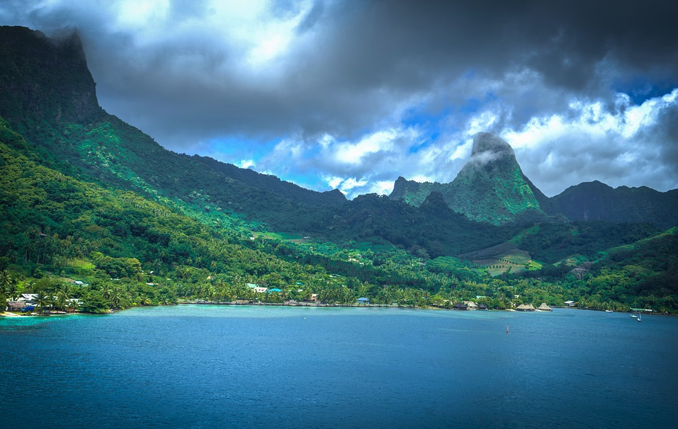Picture of tropical forest, mountains and sea in Fiji