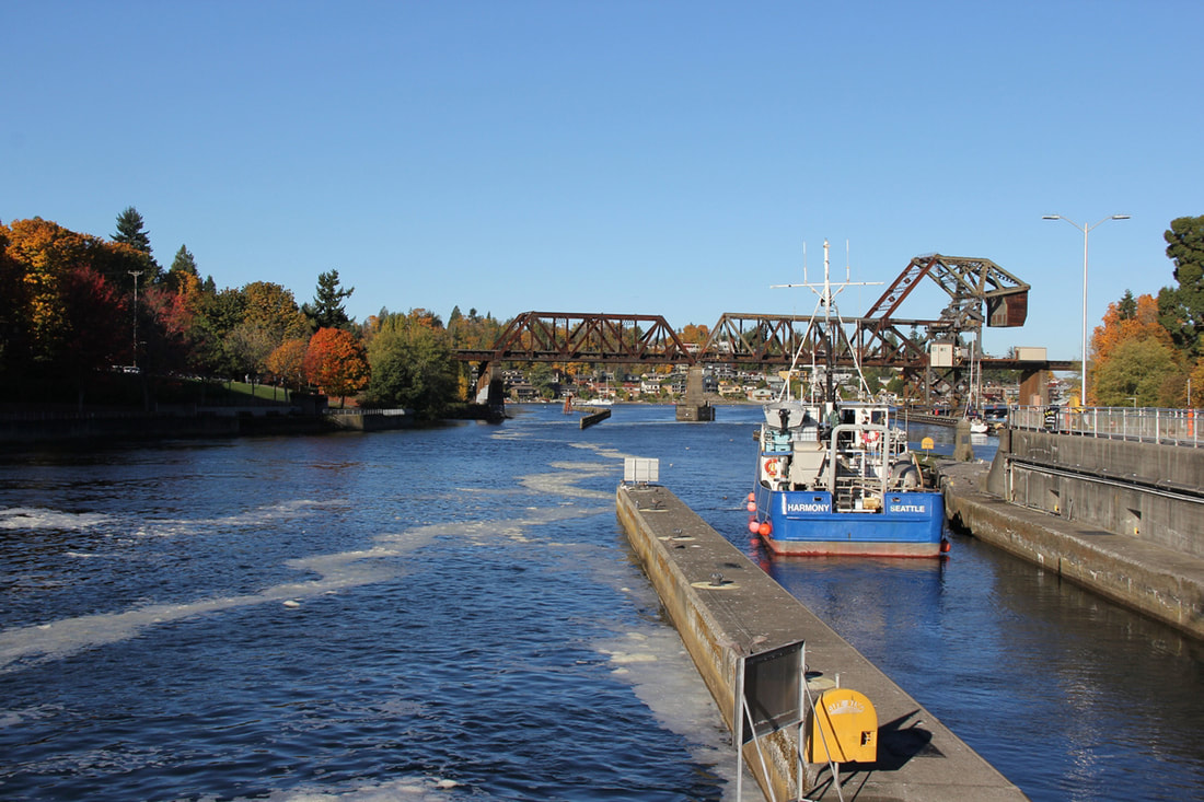 The Hiram M. Chittenden Locks, or Ballard Locks, in Seattle Washington