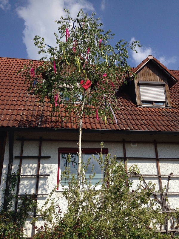 Traditional German may tree in front of house